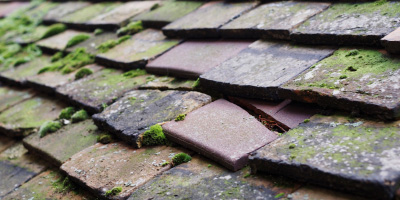 Fingringhoe roof repair costs